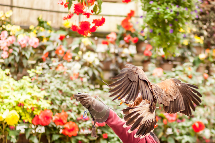 初めまして、NPO法人 Loco Fosterです。